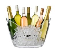 Relaxdays Secchiello per Ghiaccio, 8 L, Glacette Porta Bottiglie di Vino e Champagne, Cestello in Plastica, Trasparente