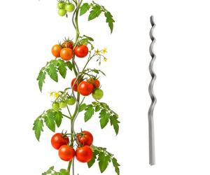 Relaxdays Set aste a spirale per pomodori 150 cm