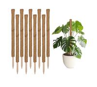 Set 10 Bastoni Fibre Cocco Piante Rampicanti 90 cm Canne Monstera Edera Naturale