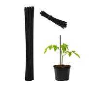 Relaxdays Set da 150 canne di bambù 30 cm nere