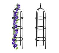 Relaxdays Set da 2 Obelischi per Rampicanti, Graticolato per Piante, Rose, Edere, Accessori da Giardino, Metallo, Nero, Acciaio, 25x100 cm