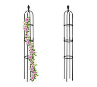 Relaxdays Set da 2 Obelischi per Rampicanti, Graticolato per Piante, Rose, Edere, Accessori da Giardino, Metallo, Nero, Acciaio, 20x160 cm