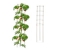 Relaxdays Set da 2 Sostegni Circolari per Pomodori, H 150 cm, Ferro e PP, Piante Rampicanti, Cetrioli, 5 Anelli, Marrone