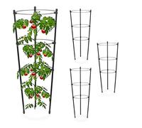 Sostegni per pomodori 45 cm Ferro Sostegni per piante rampicanti 3 anelli