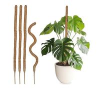 Set 5 Canne 90 cm Bastoni Fibre Cocco Piante Rampicanti Monstera Edera Naturale
