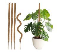 Set 5 Canne 90 cm Bastoni Fibre Cocco Piante Rampicanti Monstera Edera Naturale