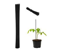 Relaxdays Set da 50 Bastoncini per Piante, Supporti per Rampicanti, Verdure, Ø 6mm, Fili da Legatura incl, 60 cm, Nero, bambù