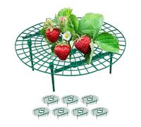 Relaxdays Set da 8 Anelli di Supporto per Fragole, Sostegno in Plastica per Piante da Orto, Rete Anti Muffa, Verde, HxD: 10 x 30 cm