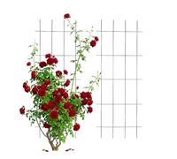 Relaxdays Set di 2 Griglie Rampicanti in Metallo, Supporto per Piante e Rose, 115 x 45 cm, Nero