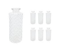 Vasi di vetro Mini vasi Vasi decorativi Set da 6 per decorazioni da tavolo