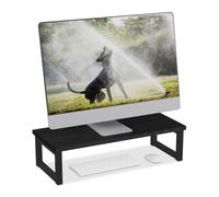 Relaxdays Supporto per monitor design industriale