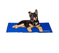 Relaxdays Tappetino Rinfrescante per Cani, Autorefrigerante, Lavabile, in Gel, Materassino per Gatti, 50x90 cm, Blu