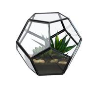 Relaxdays Terrario Piante, Mini Serra in Vetro e Zinco, HLP 12x14x14 cm, Piantine Grasse, Vaso Ecosistema Aperto, Nero