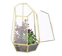 Relaxdays Terrario Piante, Mini Serra in Vetro e Rame, HLP 26x18x15 cm, Piantine Grasse e Muschi, Vaso Ecosistema, Oro
