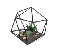 Relaxdays Terrario Piante, Mini Serra Vetro e Zinco, HLP 16x17x20 cm, Piantine Grasse e Muschi, Vaso Ecosistema, Nero