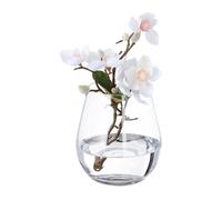Relaxdays Vaso in Vetro Decorativo, Vasetto per Fiori Freschi Interno, Centrotavola HxD: 16x14 cm, Decorazione da Tavolo