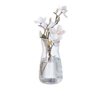 Vaso Vetro Decorativo Vasetto Fiori Freschi Centrotavola Moderno HxD: 20x10,5 cm