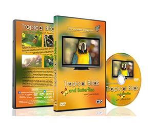 Relaxing Birds DVD - Tropical Birds and Butterflies with Classical Music from the Masters - Cute Birds and Colorful Butterflies in Vivid Colors for Kids and Family Pets