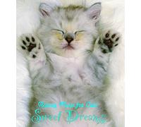 Relaxing Music for Cats Sweet