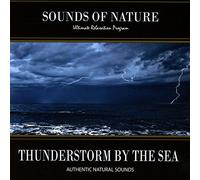 Relaxing Sounds of Nature - Thunderstorm By The Sea