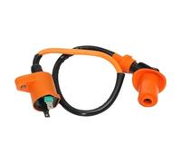 Relè solenoide Bobina Accensione Con Raddrizzatore Accensione CDI 6 Pin Per Motori Per GY6 50cc 125cc Ciclomotore Scooter ATV Go Cart(Ignition coils)