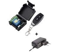 Relè Temporizzato 1 sec 433Mhz Homelink Tesla S 3 X Y (Alimentazione Presa 230-12V)