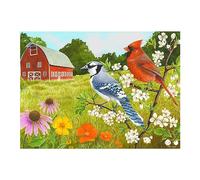 Relish 'Summer Birds' Puzzle da 13 Pezzi: Attività per Anziani Specifiche per le Persone Affette da Demenza/Alzheimer