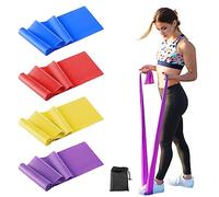 Relota Set di 4 Elastici Fitness, Elastico Fitness 4 Livelli di Resistenza Fasce Elastiche Fitness per Donne o Uomini, Banda Elastica per Allenamento di Forza, Pilates, Fisioterapia, Yoga