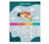 REM Deep Light Sleep Poster Cycle Chart Wellness Education Art(Framed,12x18inch(30x45cm))