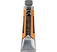 REMBRANDT ROYAL TALENS COLORE AD OLIO PROFESSIONALE EXTRA 40ML MADE IN HOLLAND