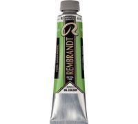 Rembrandt 1056142 Pittura a olio Permanent Green Medium 40 ml 1 pz