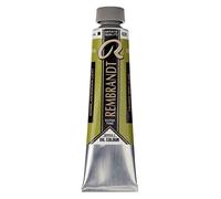 Rembrandt Colore ad olio 40 ml Verde cinabro chiaro 626 - Vernice ad olio per artisti resistente alla luce - Consistenza pastosa e burrosa
