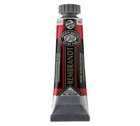 Rembrandt Rilegatura sconosciuta, Rosa, Unica