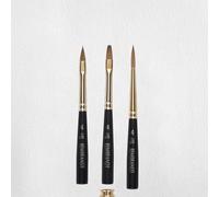 Royal Talens Rembrandt Set di pennelli da viaggio per acquerello N. 4 (90935090)