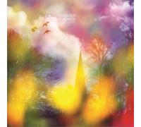 Remember Remember The Quickening (Vinyl LP) 12" Album
