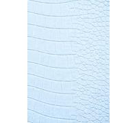 Remembering My Baby - A Journal for Love, Loss and Remembrance: Guided Prompts for Reflection and Healing - With Memory Pages, Letter Writing and ... Gift for Someone Grieving. Blue Croc Cover