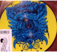 Remi Nicole - Go Mr Sunshine