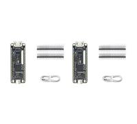 Remingtape 2 X Tang Nano 9K FPGA GW1NR-9 RISC-V - Compatibile