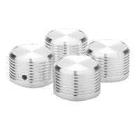 Remingtape 4 amplificatori per chitarra, in alluminio massiccio, 38 x 25 mm, amplificatori per radio, potenziometro, controllo del volume