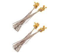 Remingtape 80 Pezzi Fiori Secchi di Craspedia Fiori Secchi con Palline, Bouquet di Fiori Secchi per Decorazioni per la Casa di Nozze