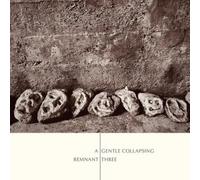 Remnant Three - A Gentle Collapsing