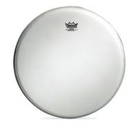 Remo 11 1/8" High Collar White