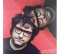 Remo Anzovino Viaggiatore Immobile (Vinyl LP)