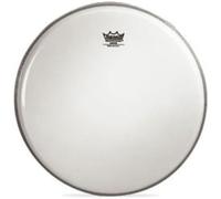 Remo - Chitarre festivo - 111/8 p. Banjo dsous sable-lc