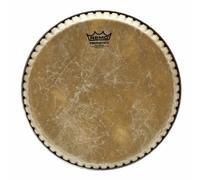 Remo pelle tumba Symmetry Skyndeep 12.5 pollici