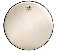Remo 10" Renaissance Ambassador