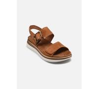 Remonte - D1J62 Marrone - Sandali e scarpe aperte 43 Marrone