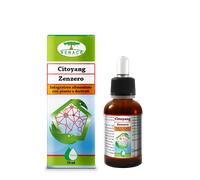 Citoyang Zenzero Gocce 50ml