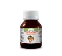 Renaco – Integratore alimentare – Cordifungus – 60 capsule
