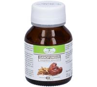 Ganofungus 60 capsule